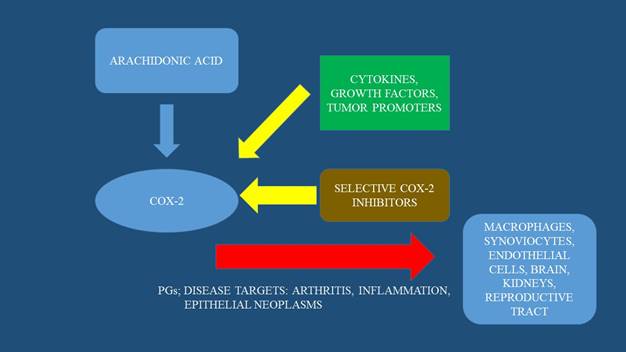 Oncomedicine Image