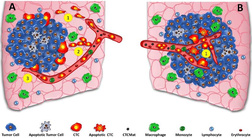 Oncomedicine Image