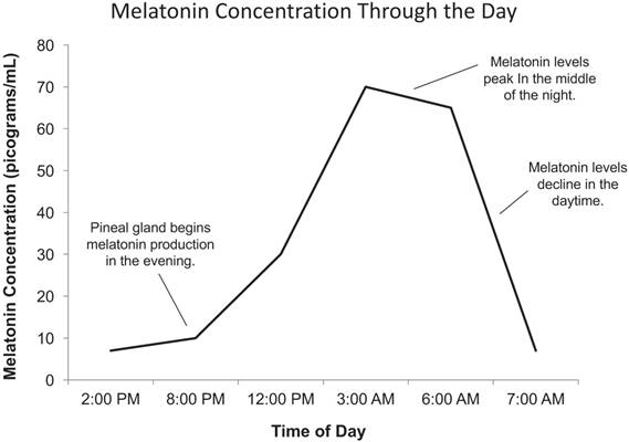 Oncomedicine Image