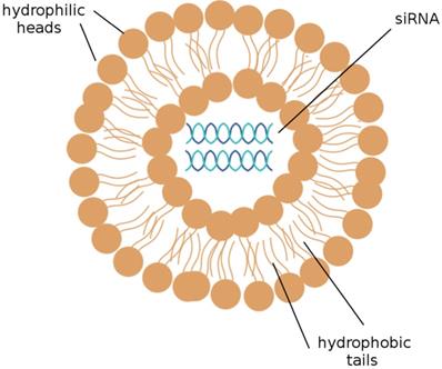 Oncomedicine Image